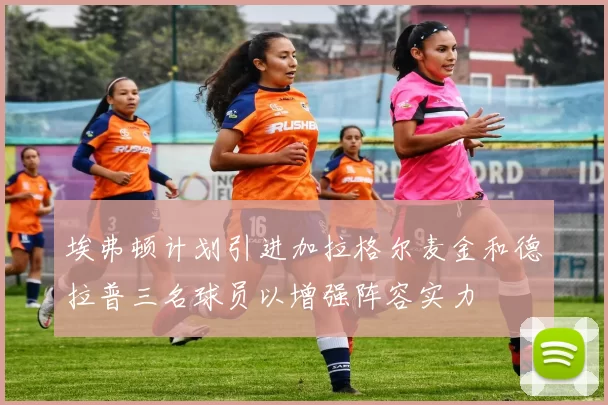 埃弗顿计划引进加拉格尔麦金和德拉普三名球员以增强阵容实力