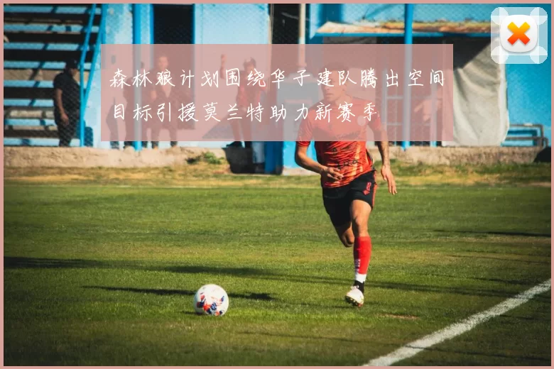 森林狼计划围绕华子建队腾出空间目标引援莫兰特助力新赛季
